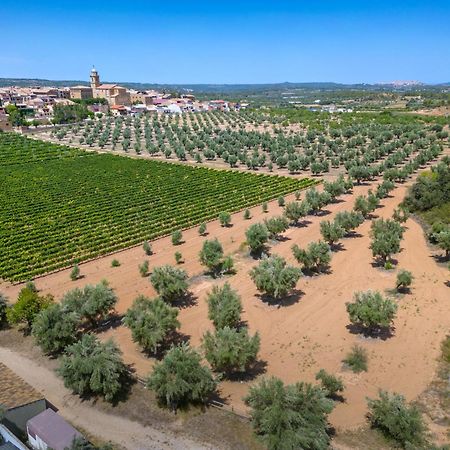 Hotel & Resort Vilar Rural D'Arnes By Serhs Hotels Sant Carlos de la Ràpita מראה חיצוני תמונה