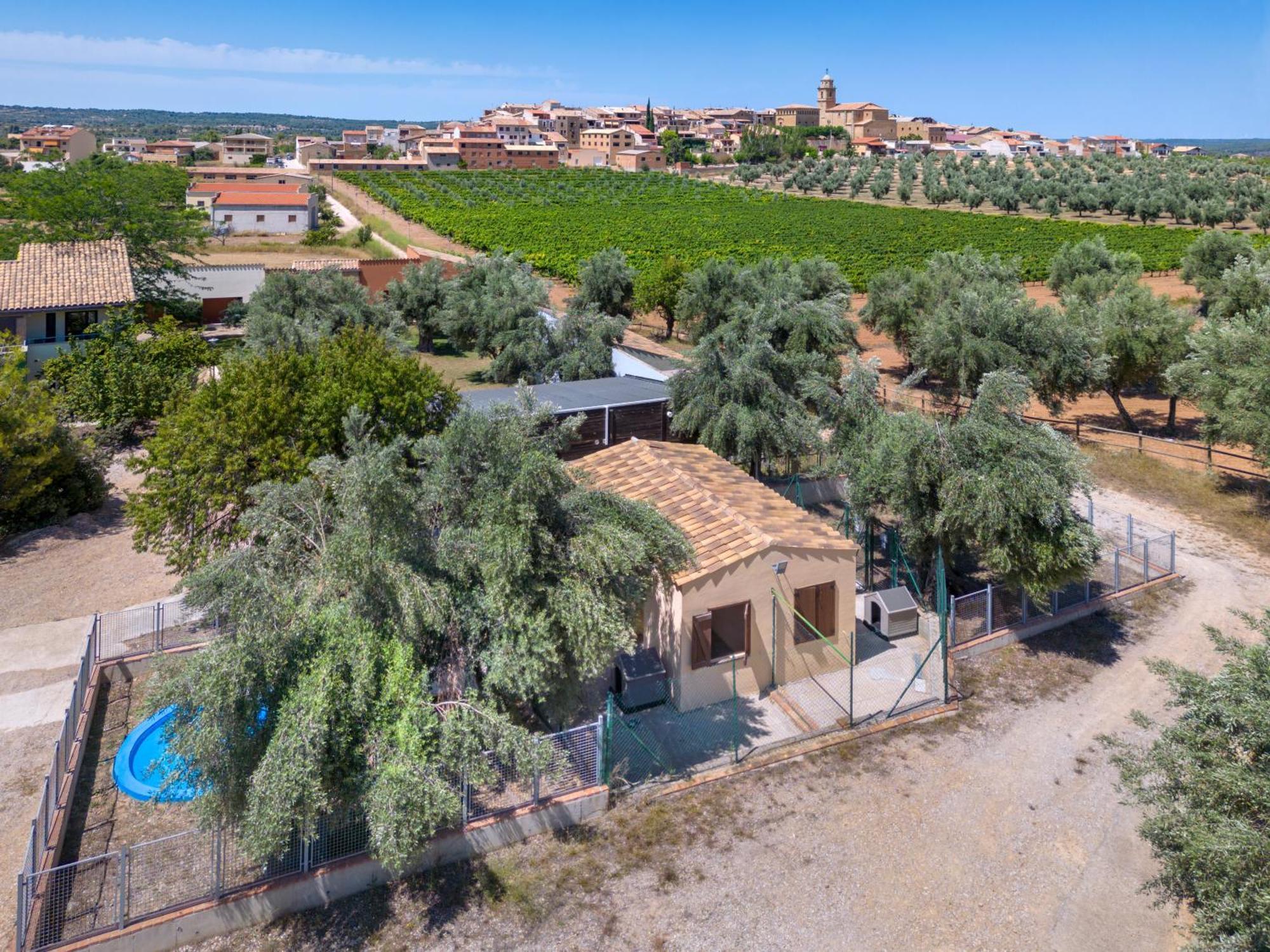 Hotel & Resort Vilar Rural D'Arnes By Serhs Hotels Sant Carlos de la Ràpita מראה חיצוני תמונה
