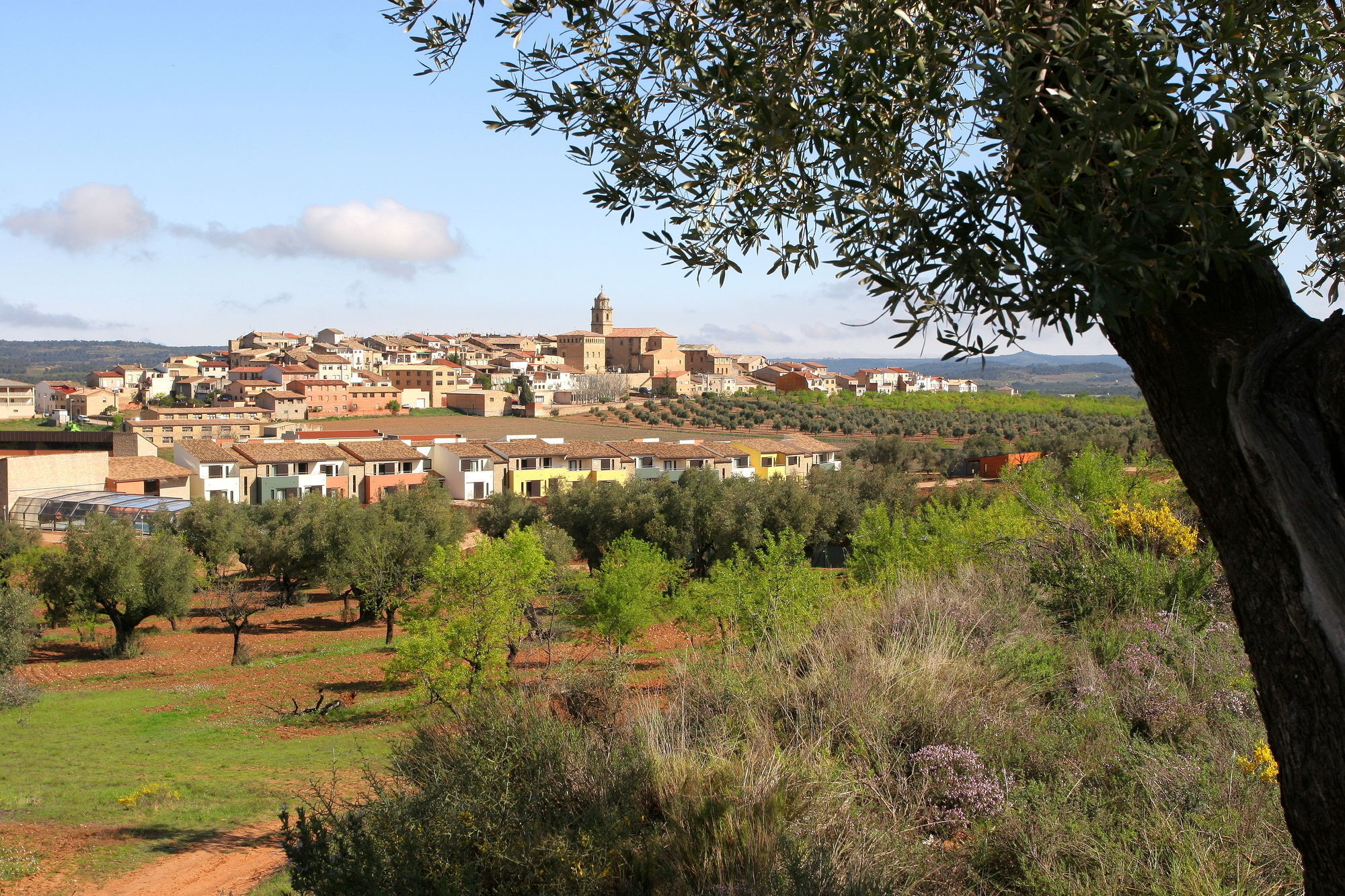 Hotel & Resort Vilar Rural D'Arnes By Serhs Hotels Sant Carlos de la Ràpita מראה חיצוני תמונה
